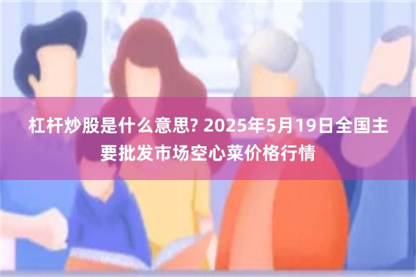 杠杆炒股是什么意思? 2025年5月19日全国主要批发市场空心菜价格行情